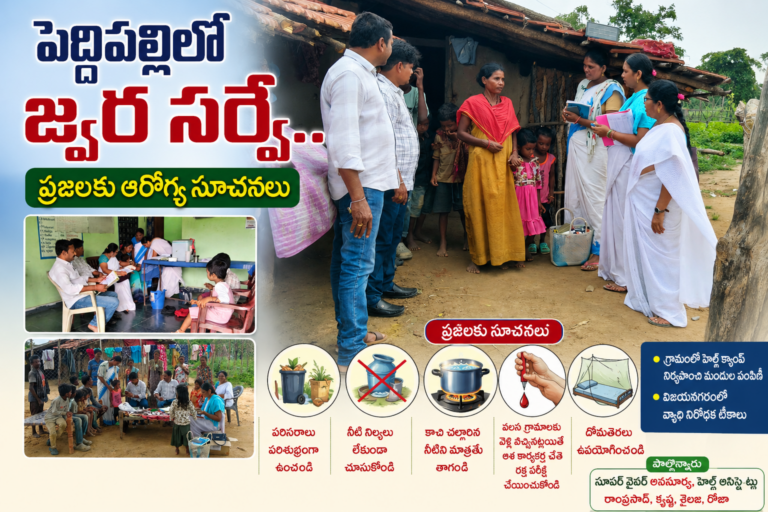 పెద్దిపల్లిలో జ్వర సర్వే.. ప్రజలకు ఆరోగ్య సూచనలు